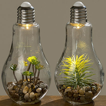 LED-Glühbirne mit Pflanze, H23, D11 - Glas Klar
